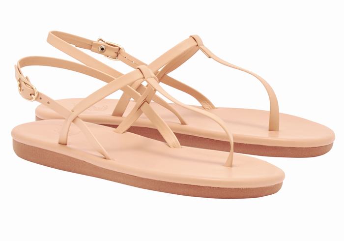 Sandales Bride Arrière Ancient Greek Sandals Lito Flip Flop   | BYB-4897862